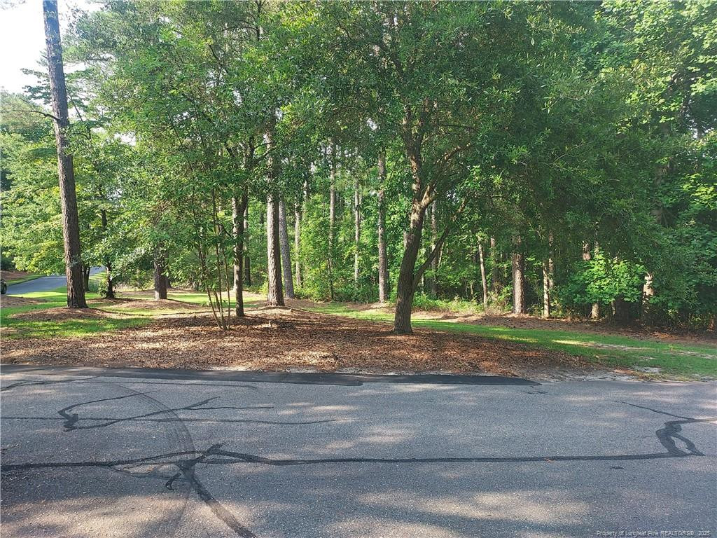 Caddie Court