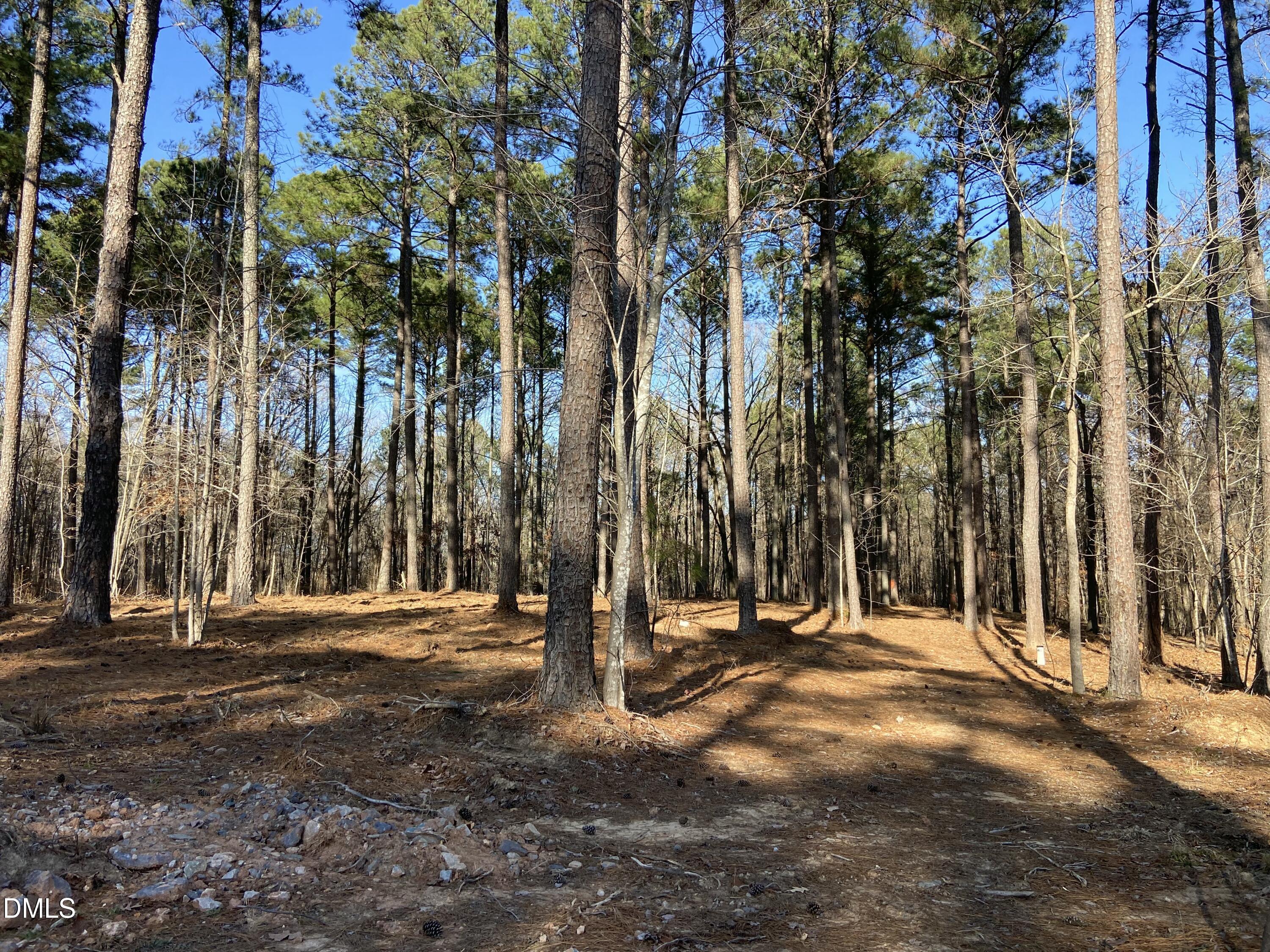 6716 Bartley Point Drive