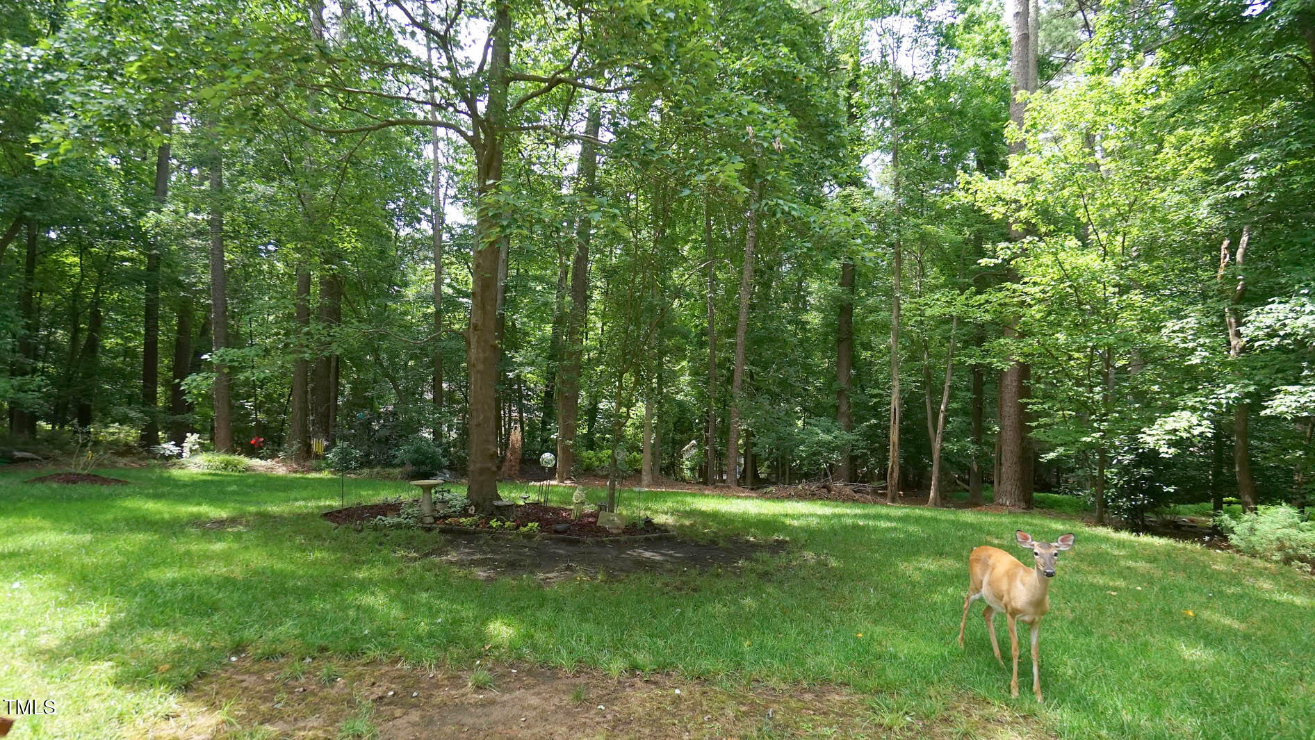 12037 Deer Run