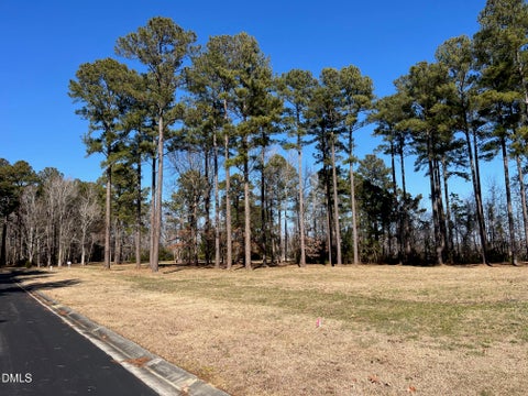 Photo of 23 Baldhead Island Court S, Oriental, NC 28571 (MLS # 10173212)