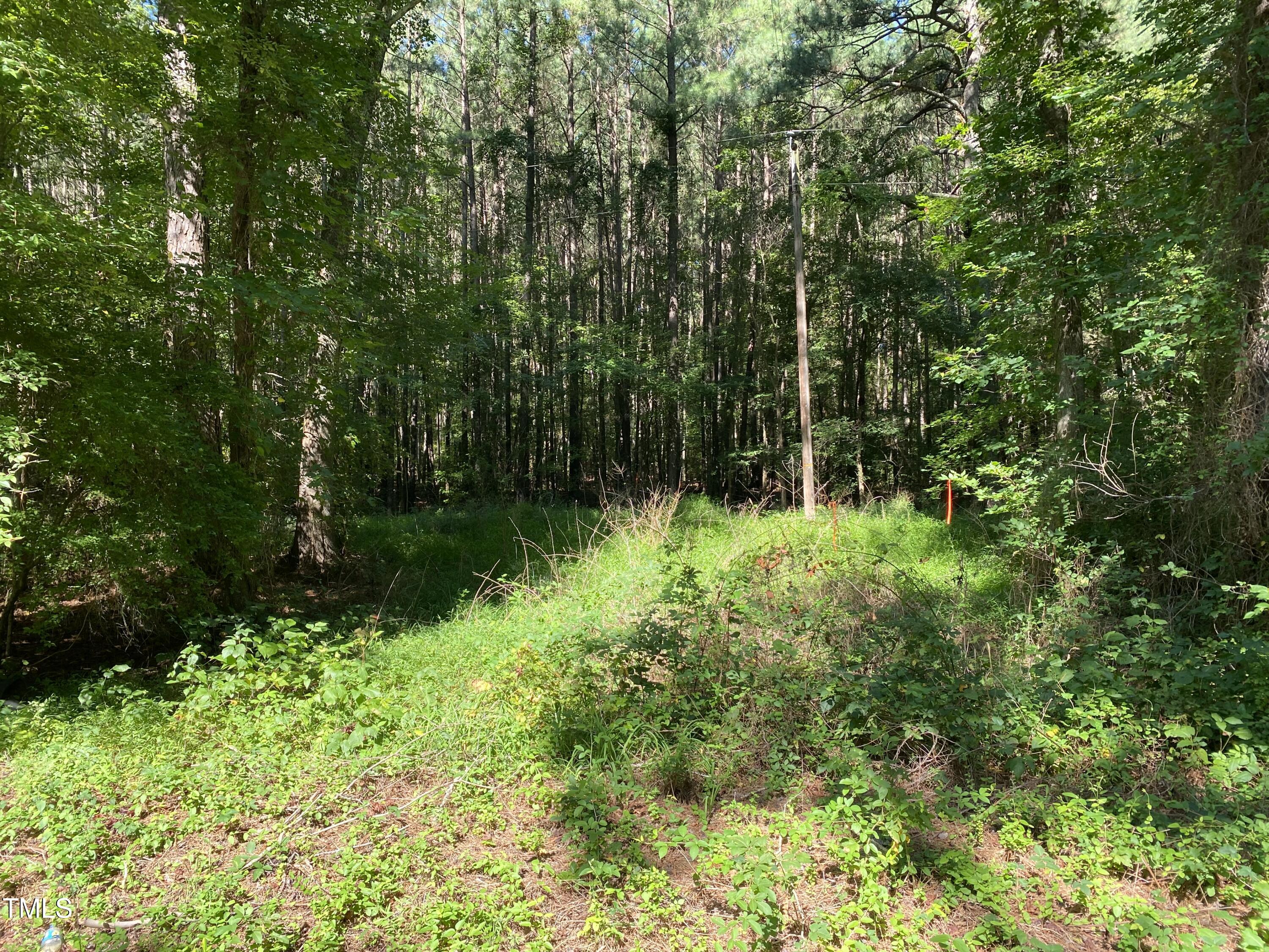 0 Collins Road, Lot 3