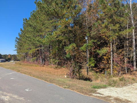 Photo of 0 Sandy Plains Lane, Warrenton, NC 27589 (MLS # 10163250)