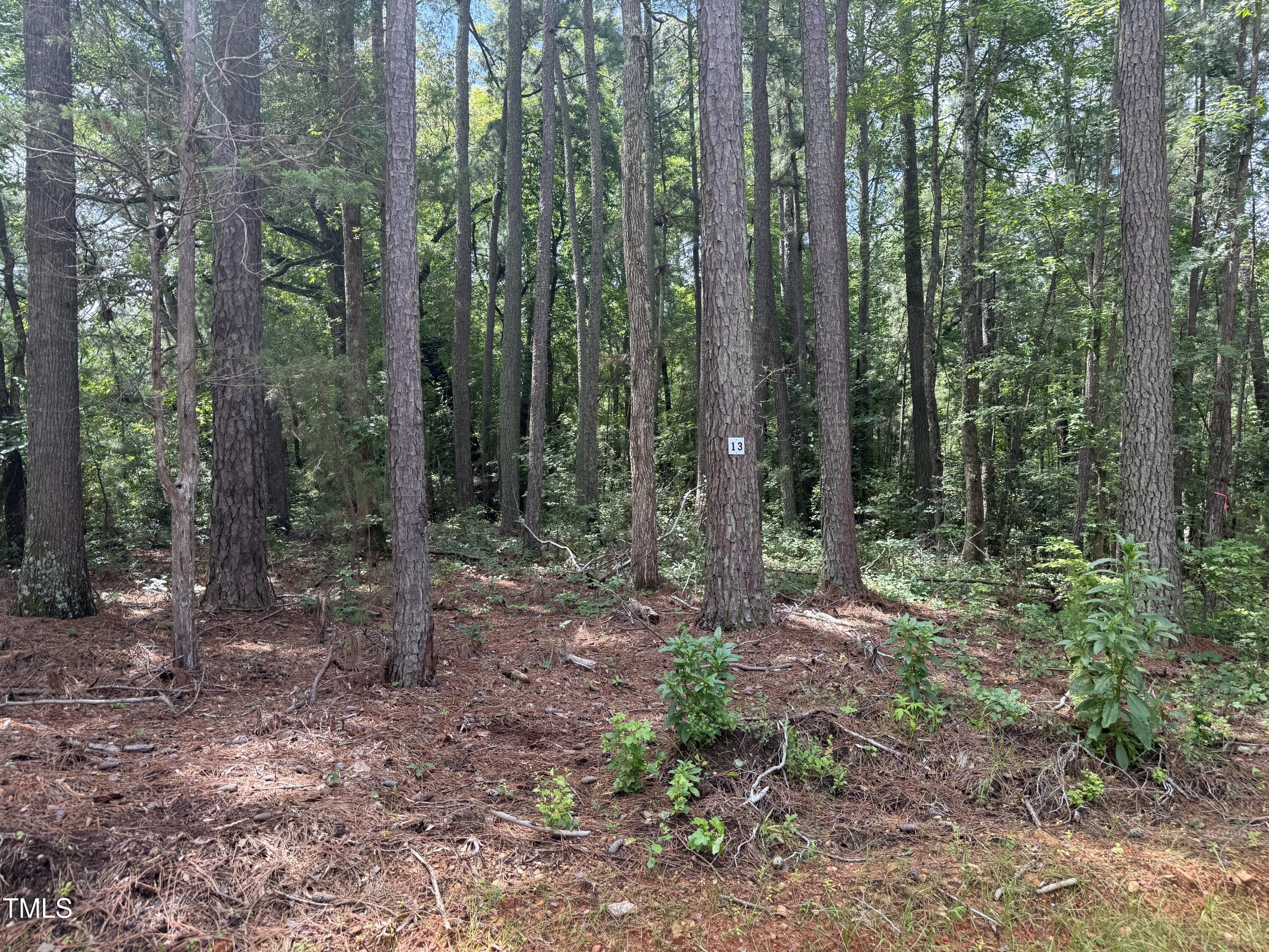 3847 Furrow Lane