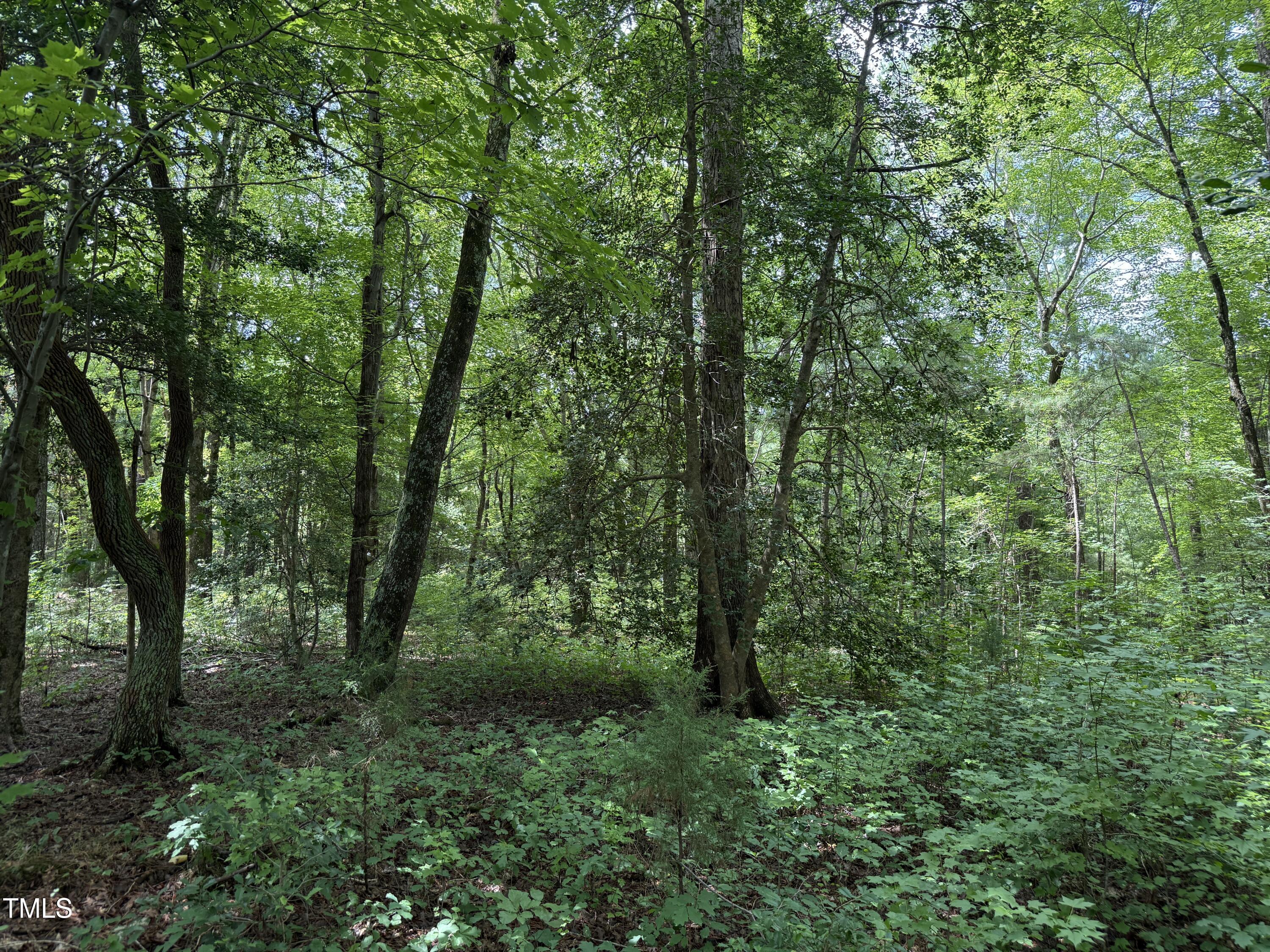 3847 Furrow Lane