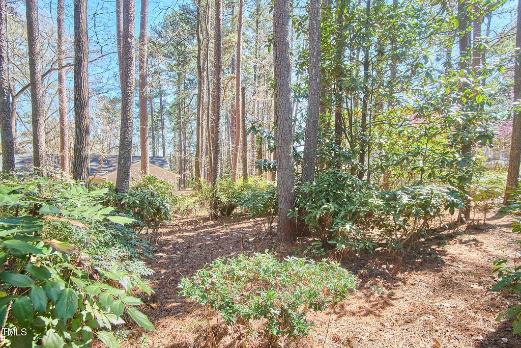 listing image 51