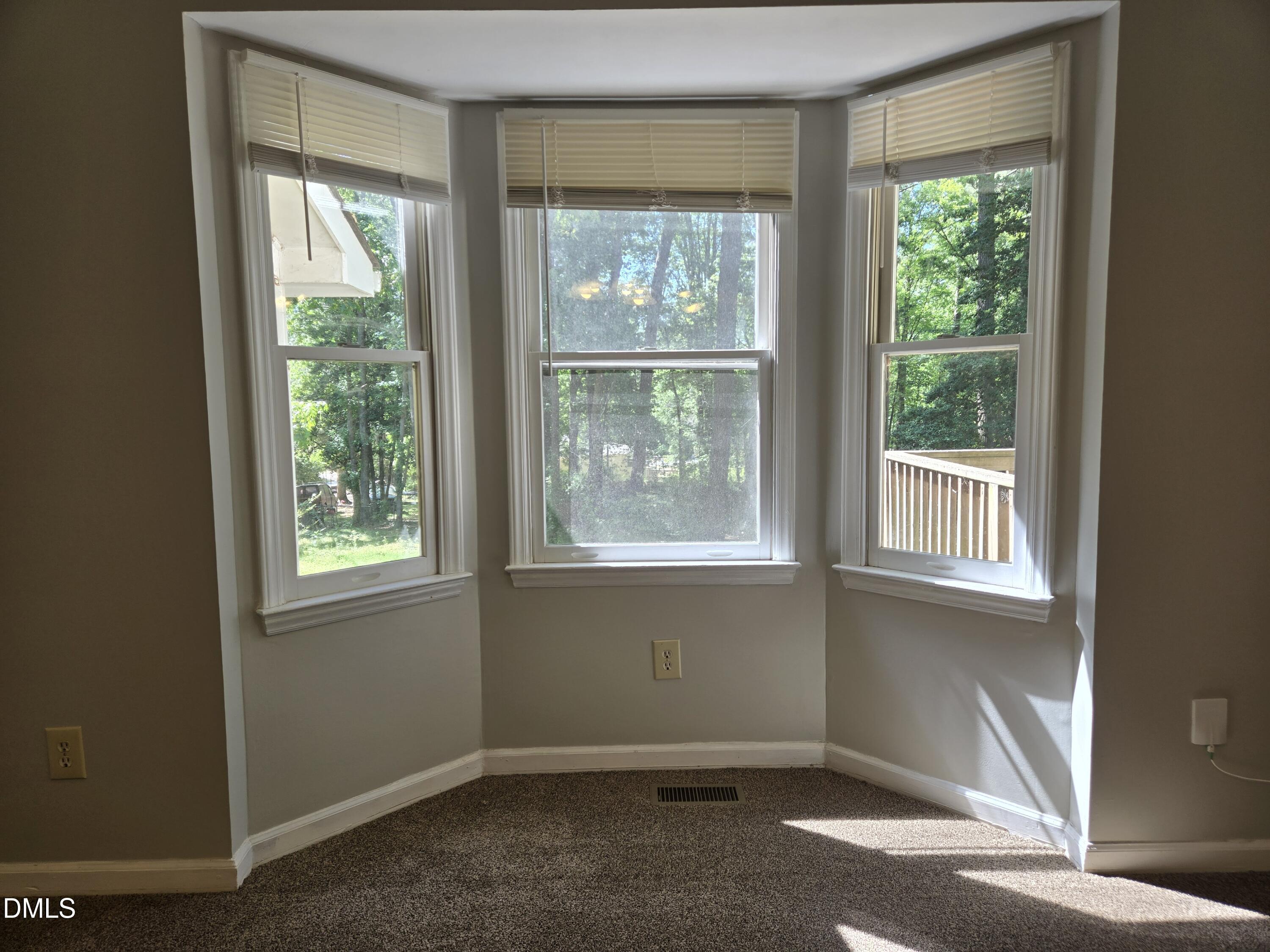 207 Meadow