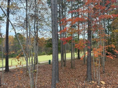 A home in Pittsboro