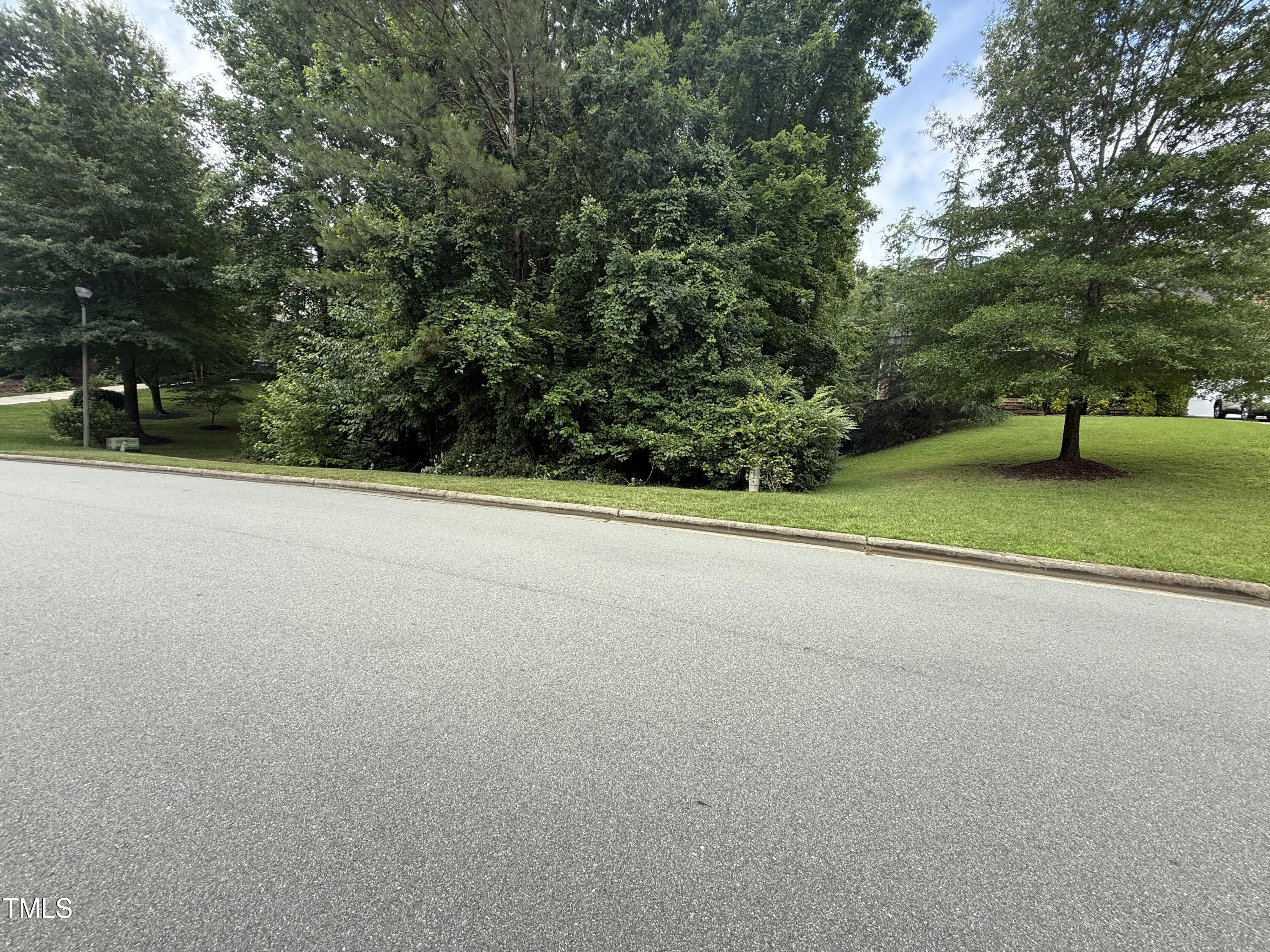 533 Bear Tree Creek