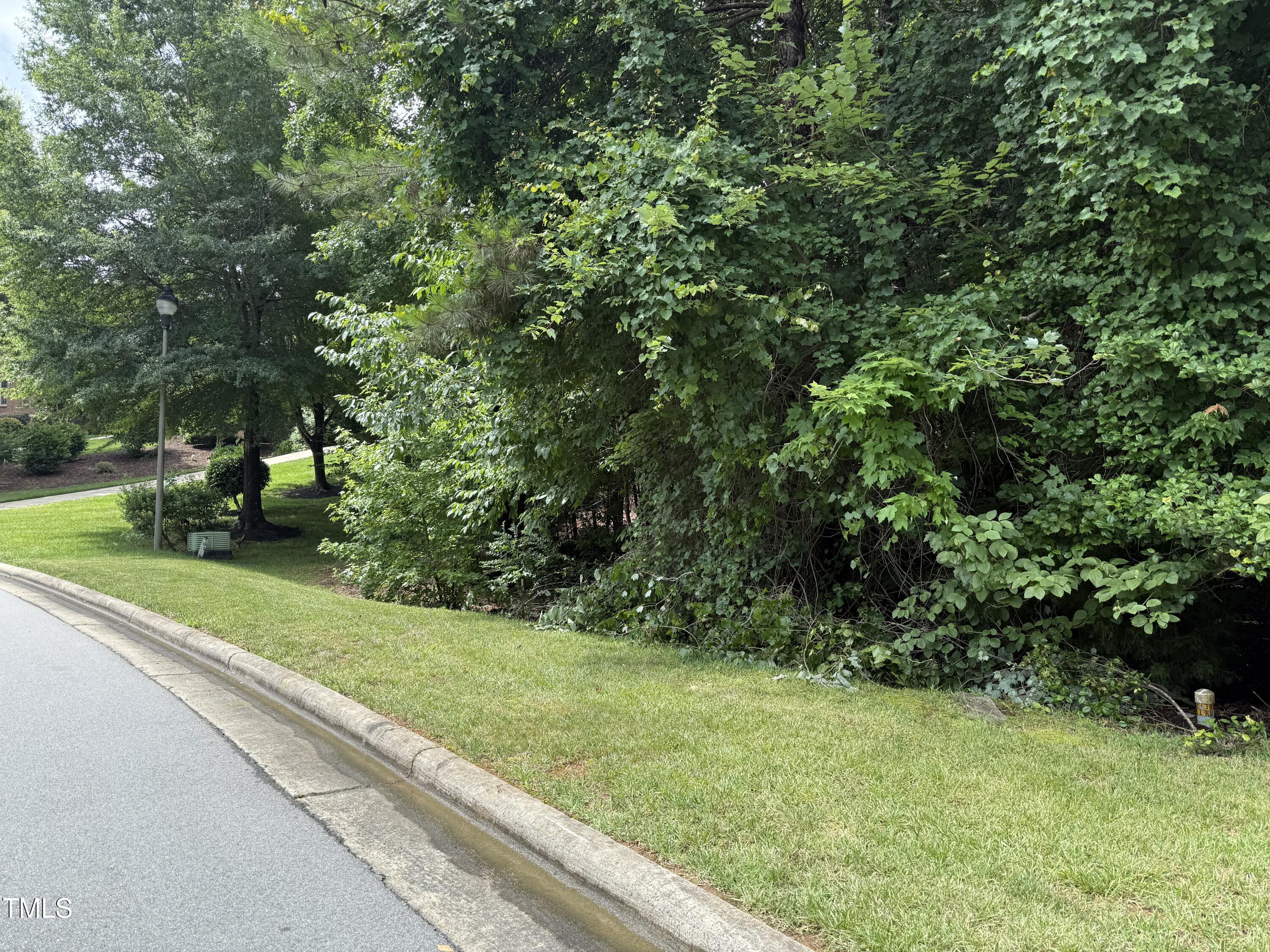 533 Bear Tree Creek