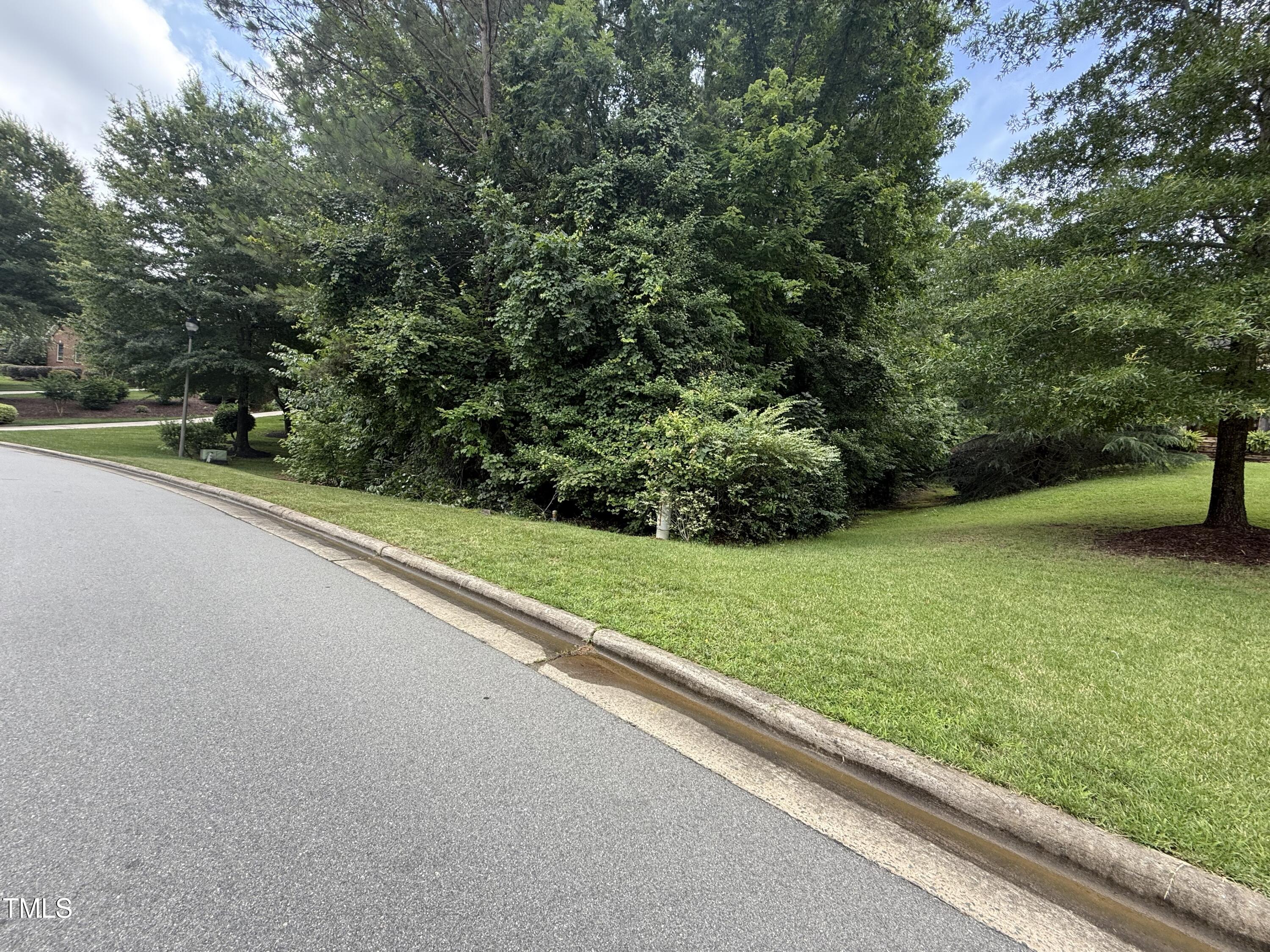 533 Bear Tree Creek