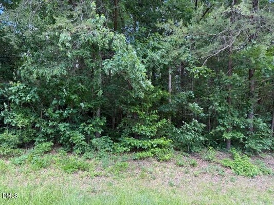 3415 MOUNT WILLING RD, EFLAND, NC 27243 - Image 0032ee3e6fb7e441529761a528c27377/3633384671
