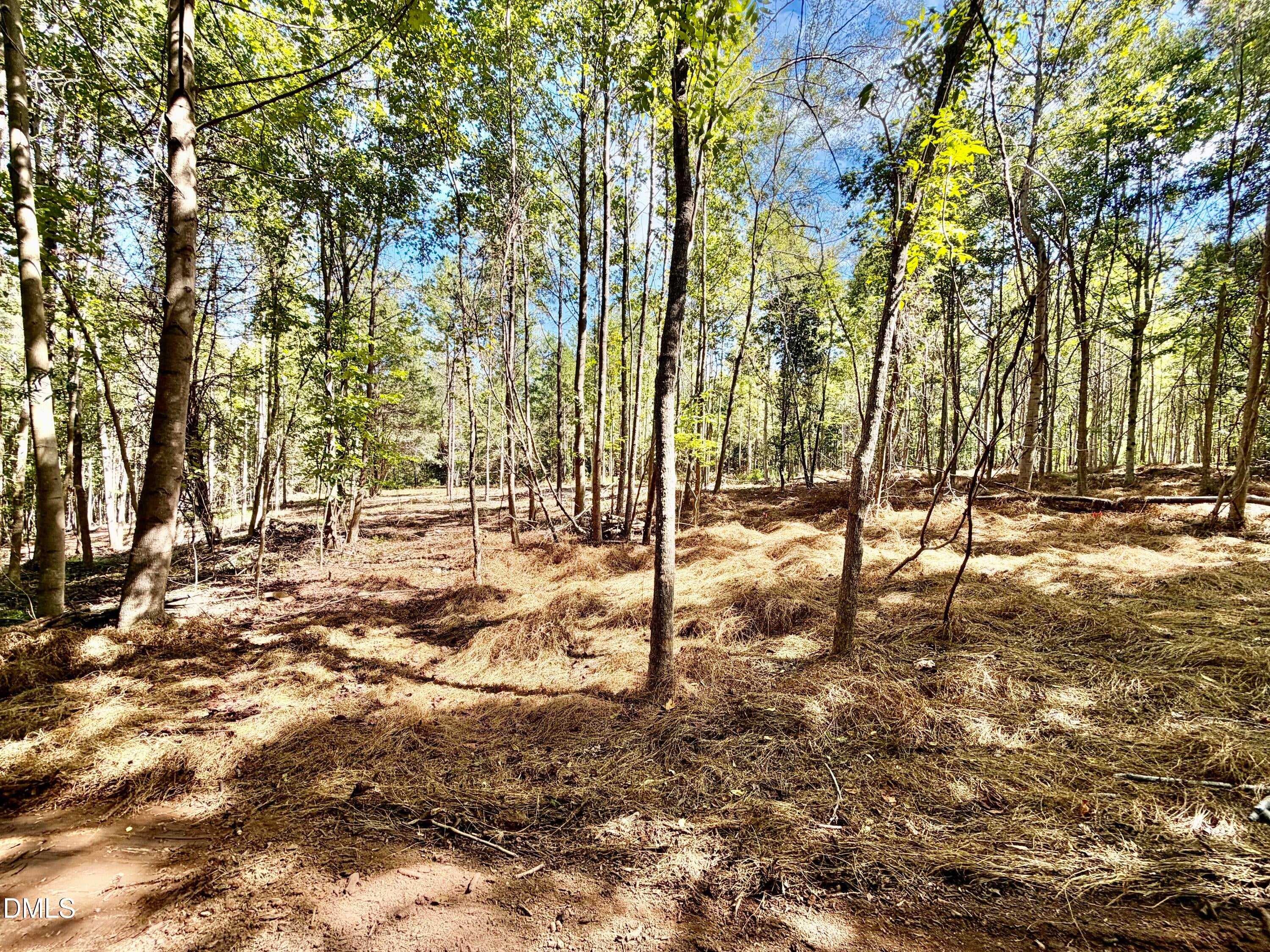 3.97 Acres Woodsdale Road