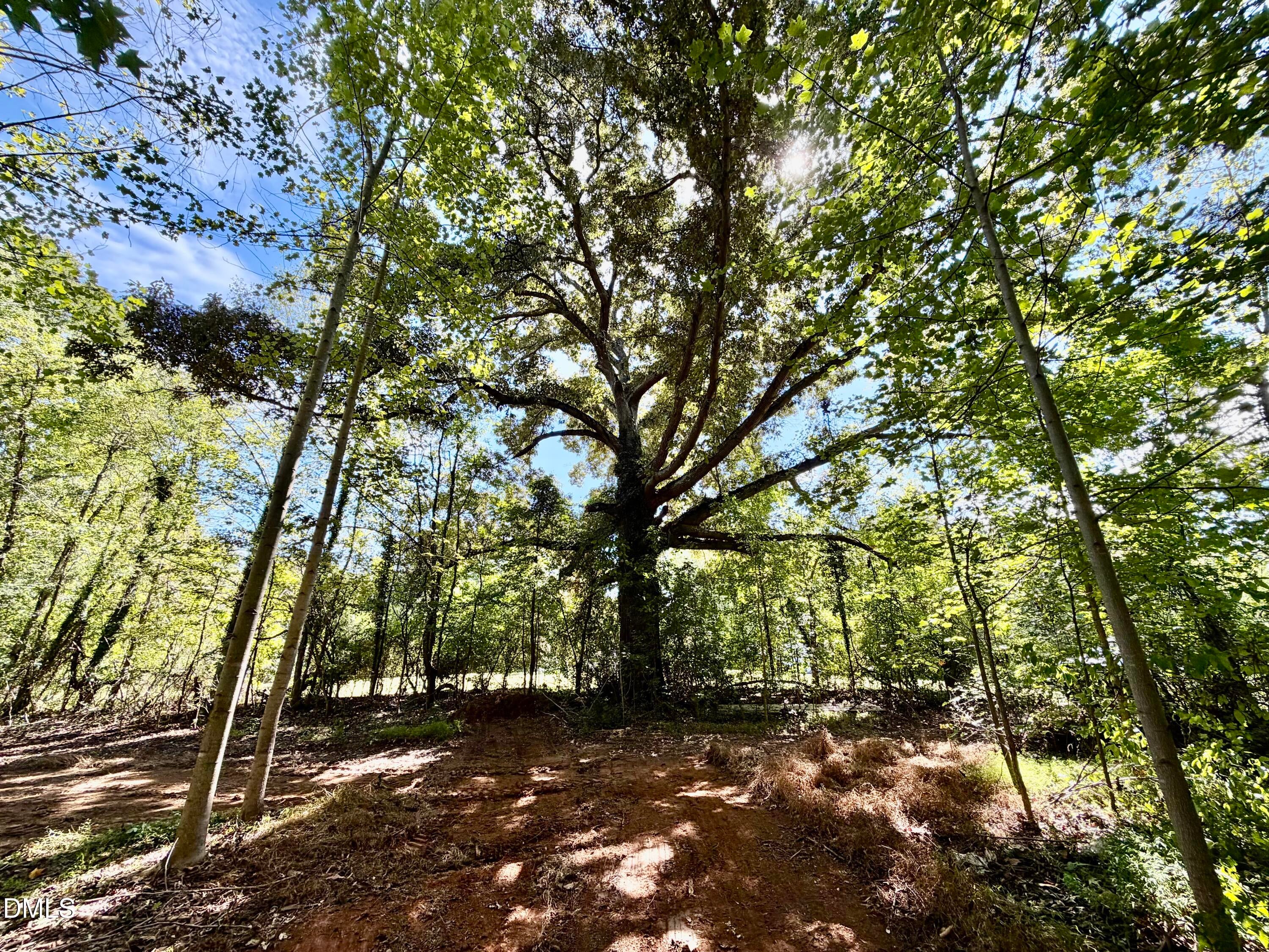 3.97 Acres Woodsdale Road