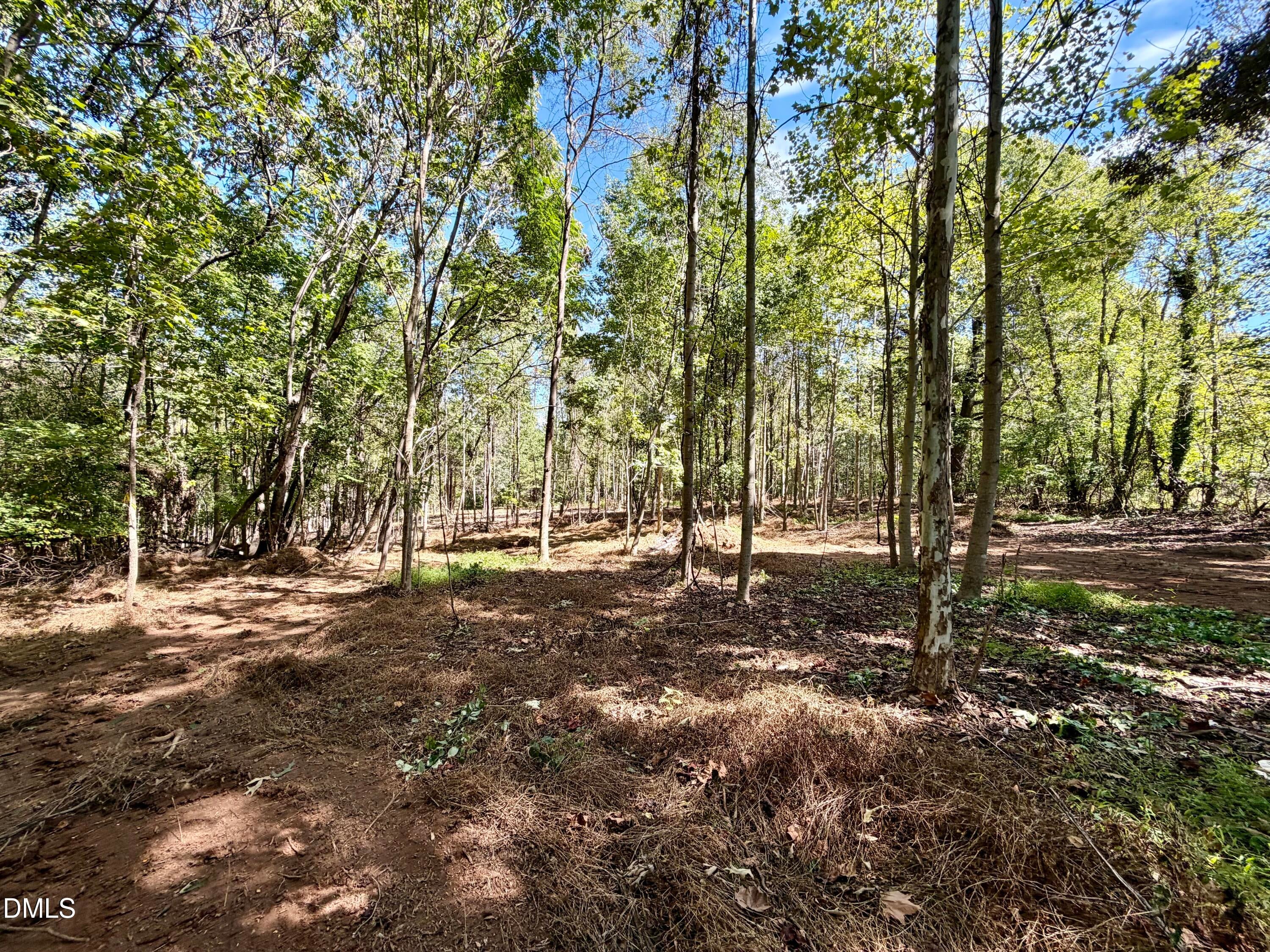 3.97 Acres Woodsdale Road
