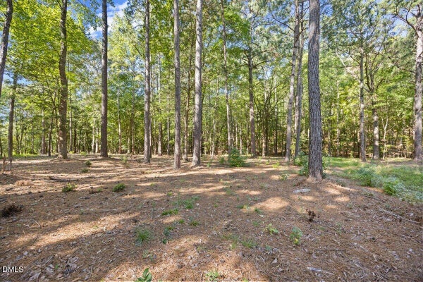 4060 GRANITE RIDGE TRL, RALEIGH, NC 27616 - Image 009091a45c241baf1797a2f48c8a1548/3317359827