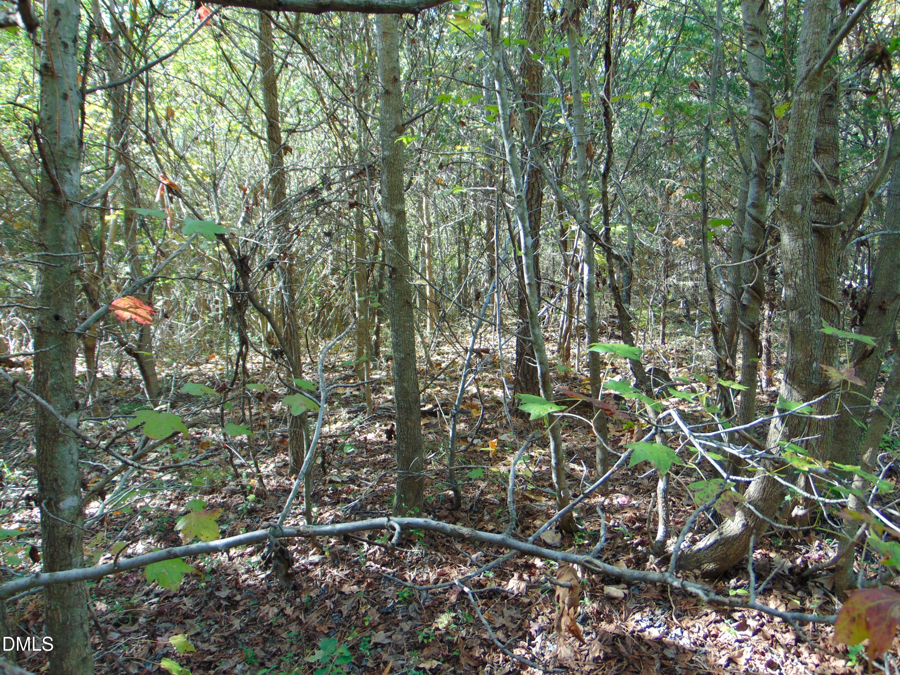 Lot 10 Bill Smith Road