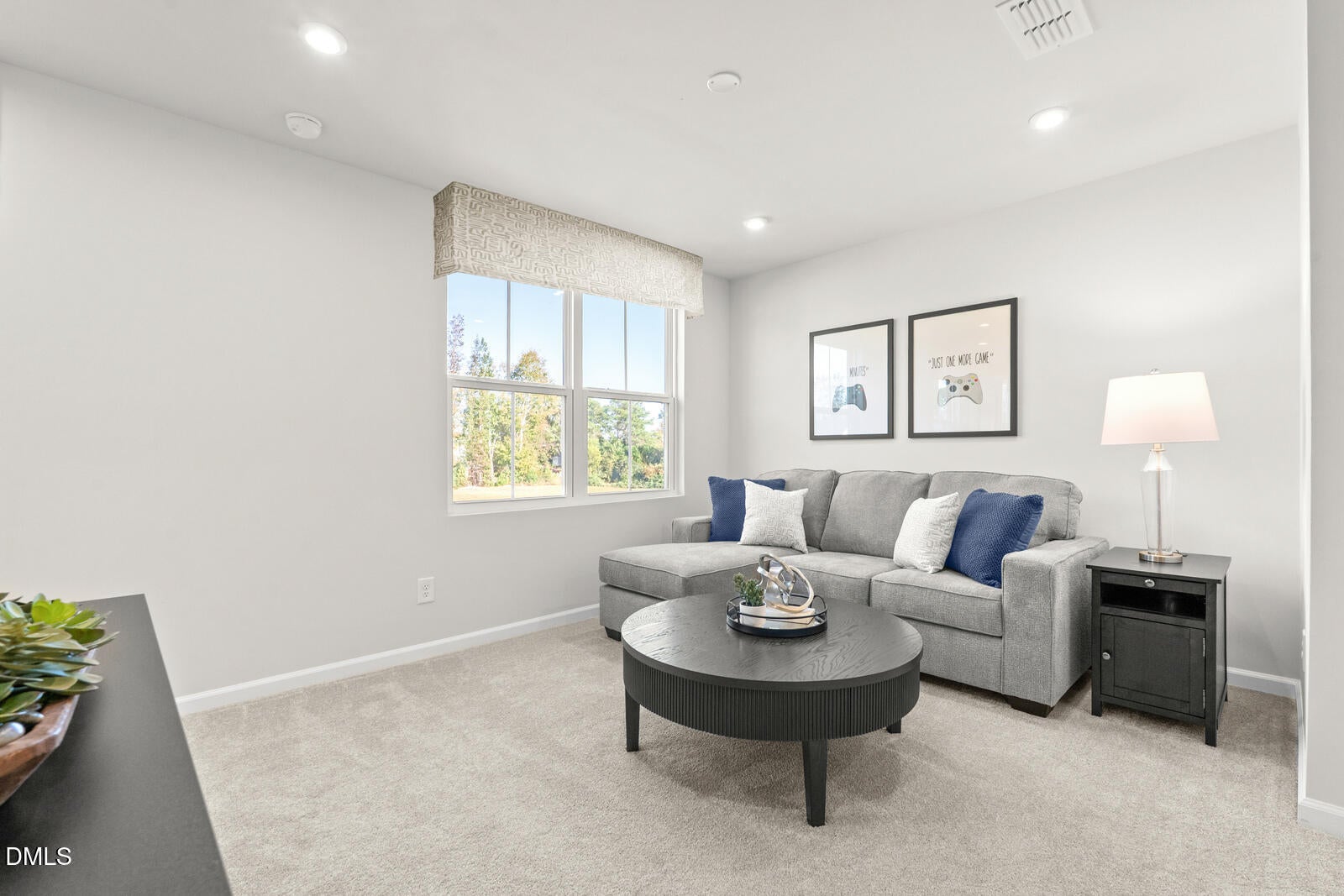 8516 Ladybug Drive
