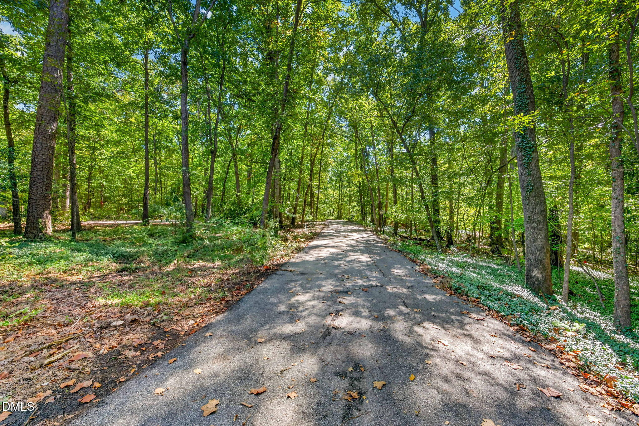 1516 Pinecrest Road