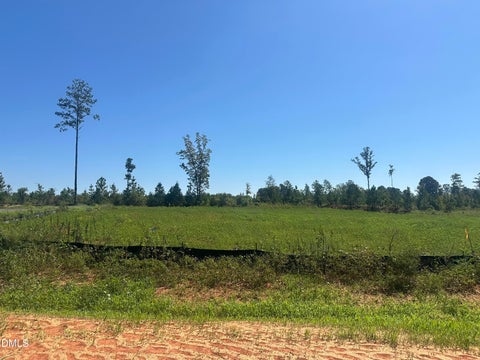 Photo of Lot 3 0 W Old Spring Hope Rd, Spring Hope, NC 27882 (MLS # 10193178)