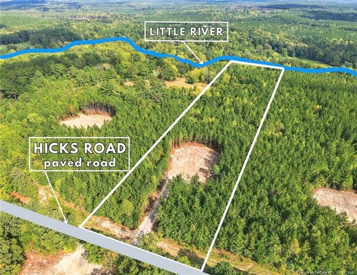 LOT 6 CAPELSIE ROAD, CANDOR, NC 27229 - Image 0664a522d49c5a7fad3e29a93d7b69ef/2827412069