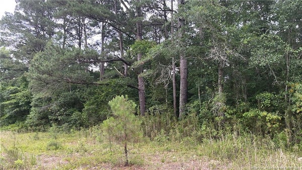 REID CT, FAYETTEVILLE, NC 28314 - Image 0753bccf4eee7b4f89a67a91e4f568de/2953634064