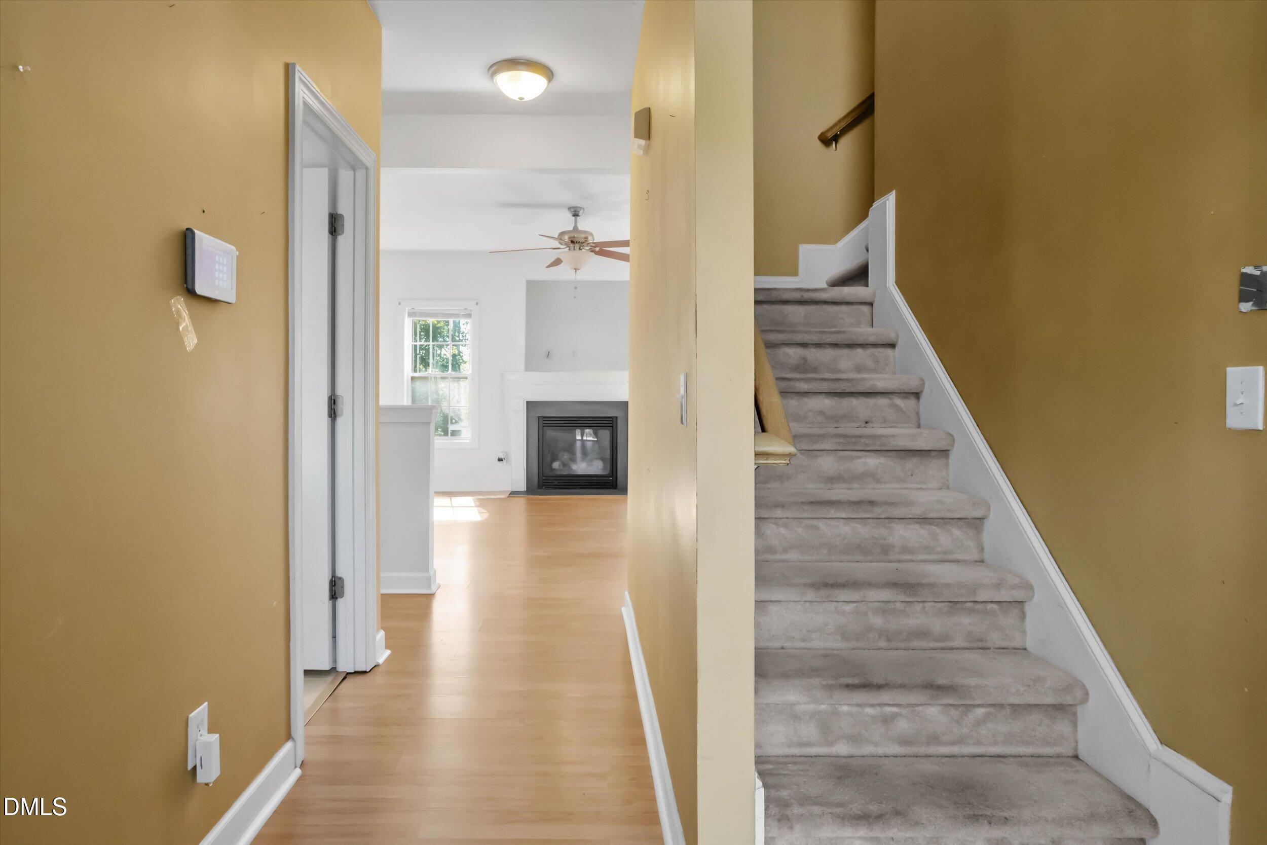 290 Misty Way