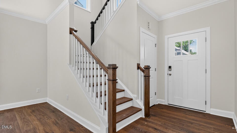 502 Dorset Stream Drive