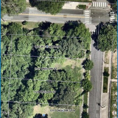 1401 W CLUB BLVD, DURHAM, NC 27705 - Image 0c7bac92bc42b53811bcbcf29a1e2c1c/1561159399