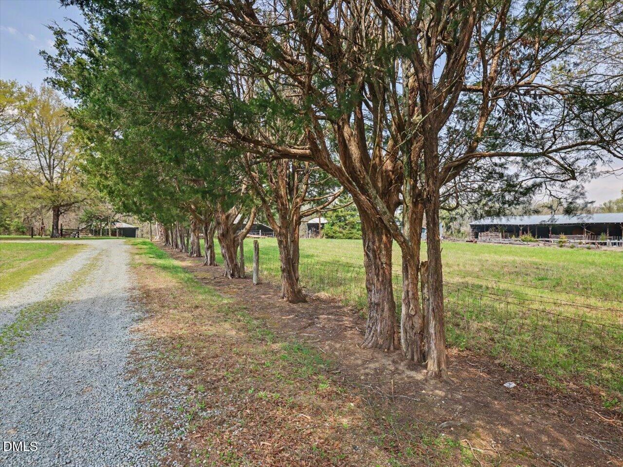 7793 Ridgeville Road