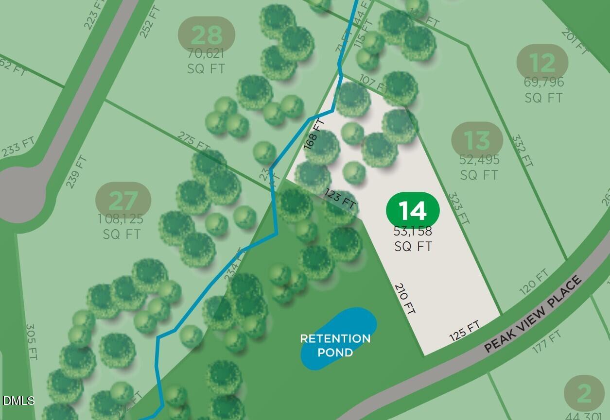 323 Peak View Place