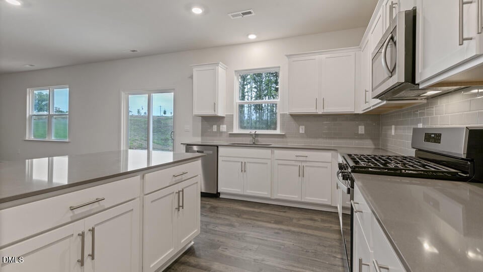 709 Sparkling Pear Drive