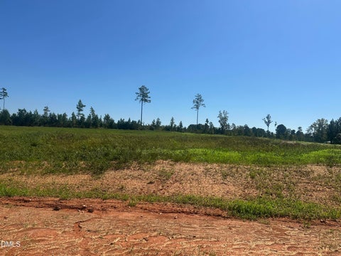Photo of Lot 5 0 W Old Spring Hope Rd, Spring Hope, NC 27882 (MLS # 10193186)