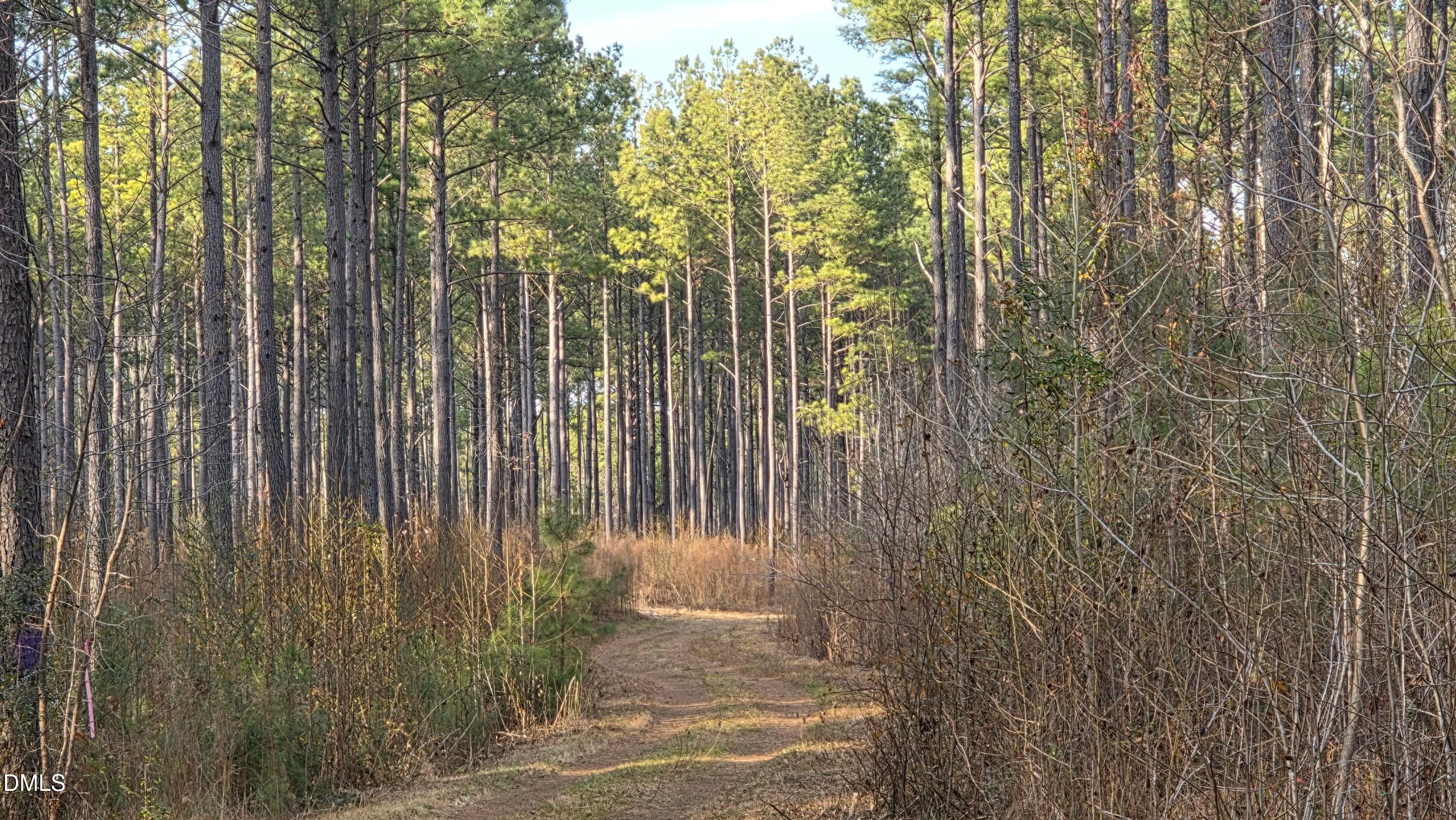 00 Hal Moore Lane