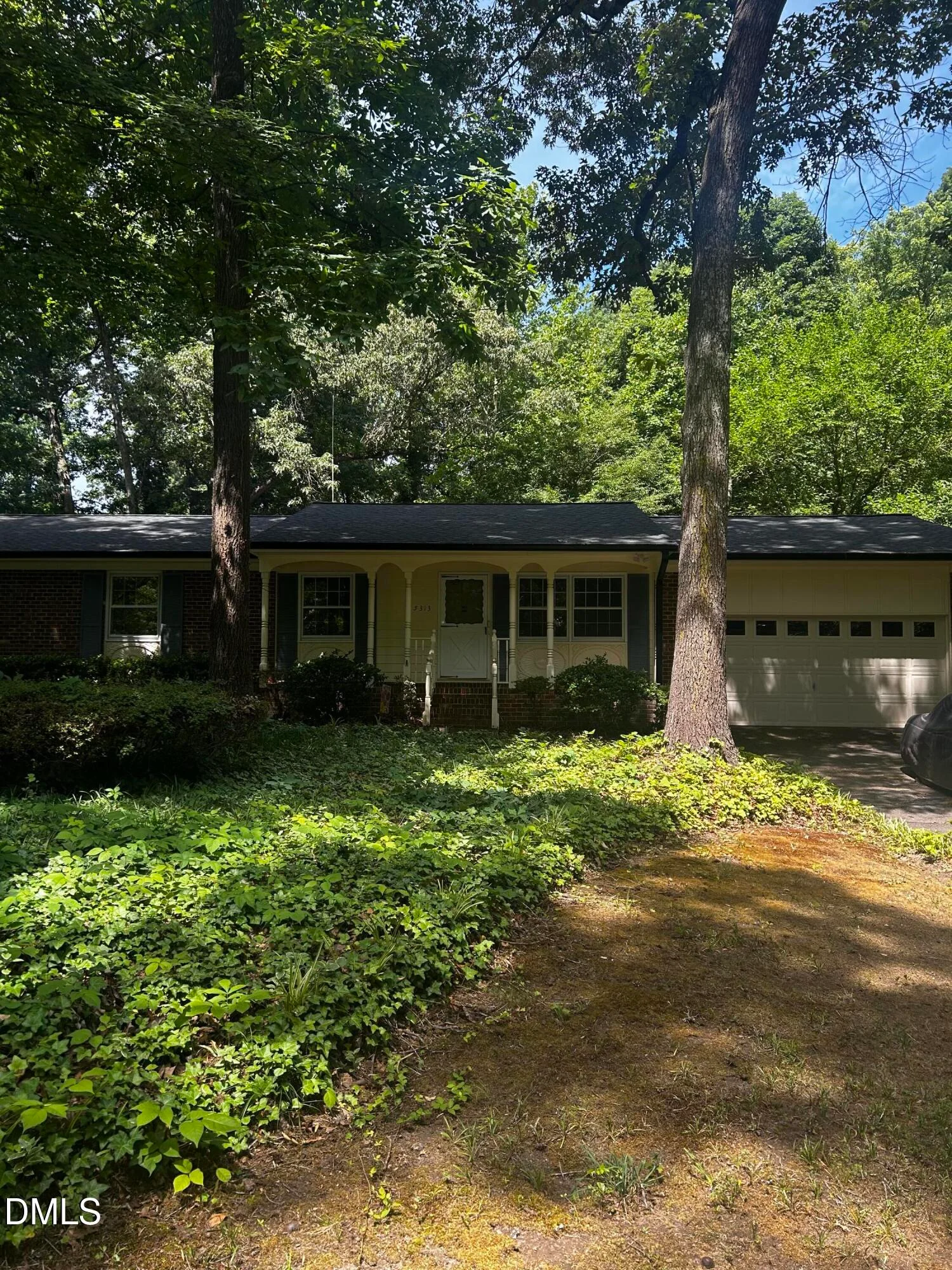 5313 Cypress Lane