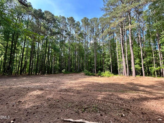 1123 WAKE ROBIN LN, CARY, NC 27519 - Image 17d09adbd0062461a2af6cf7e7cad666/607447373