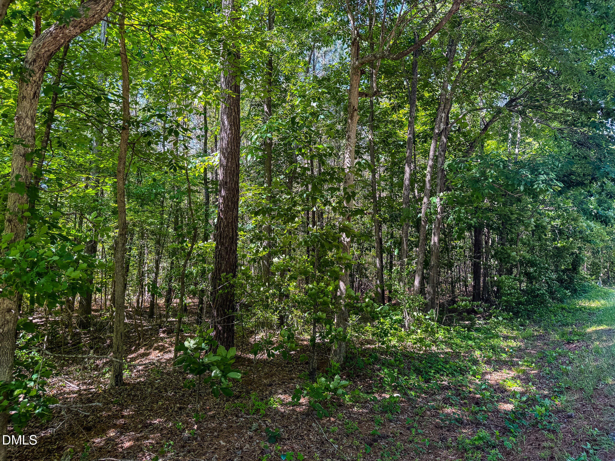 6.68 Ac Orange Grove Road
