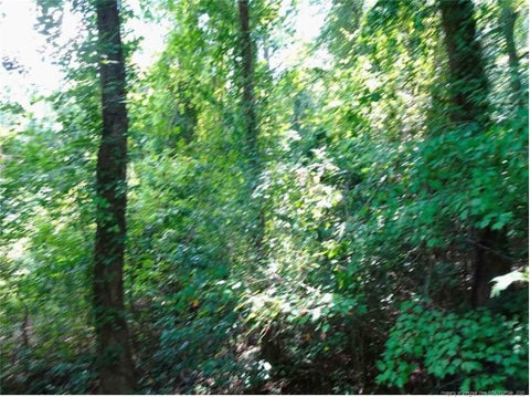 Photo of 000 Gilbert Road, Eastover, NC 28312 (MLS # LP769636)