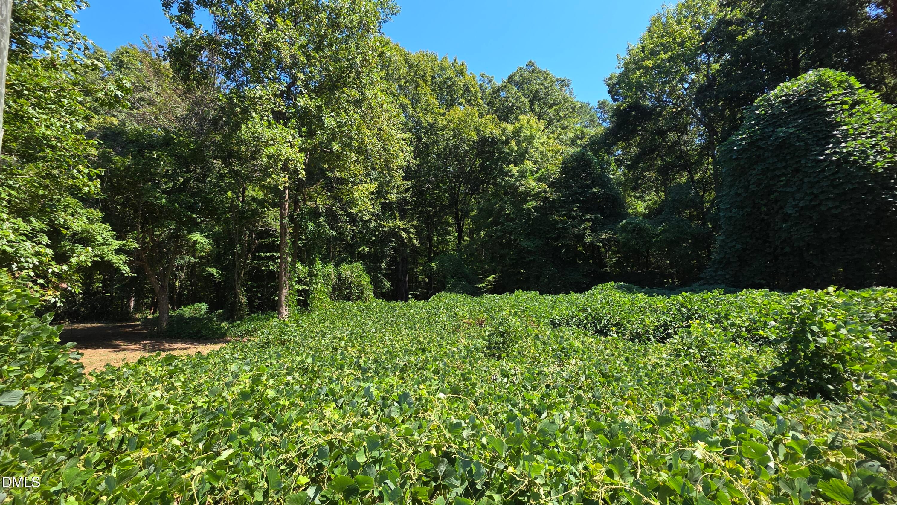 58.2 Acres Mitchell Avenue