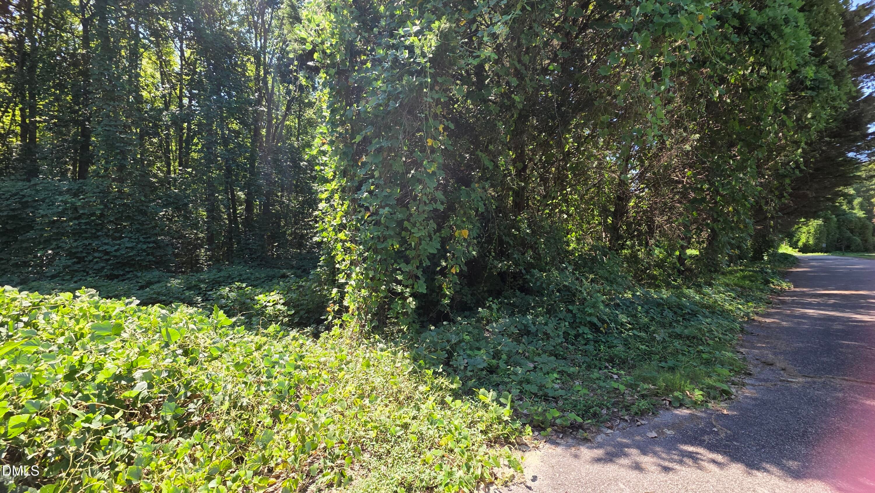 58.2 Acres Mitchell Avenue