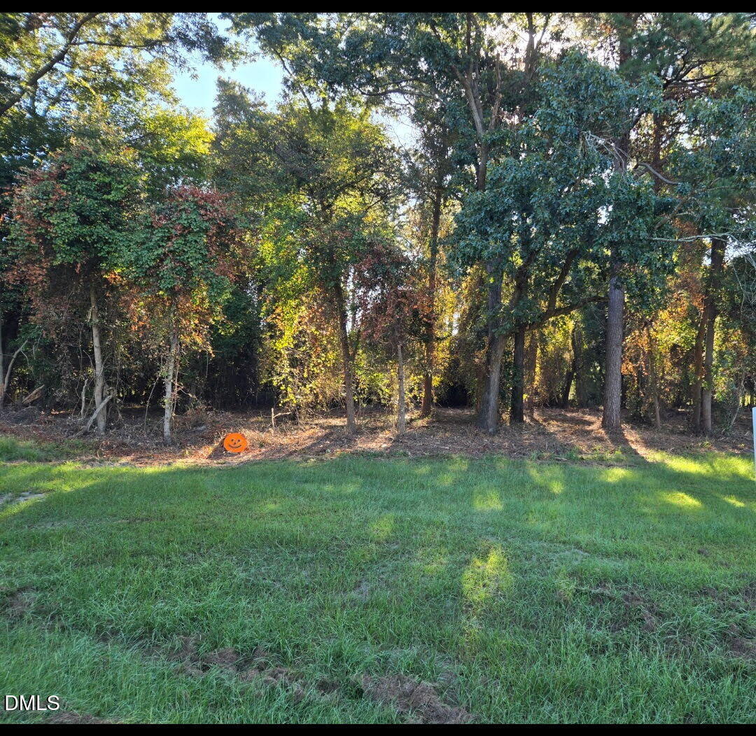 0 Godwin Lake Road