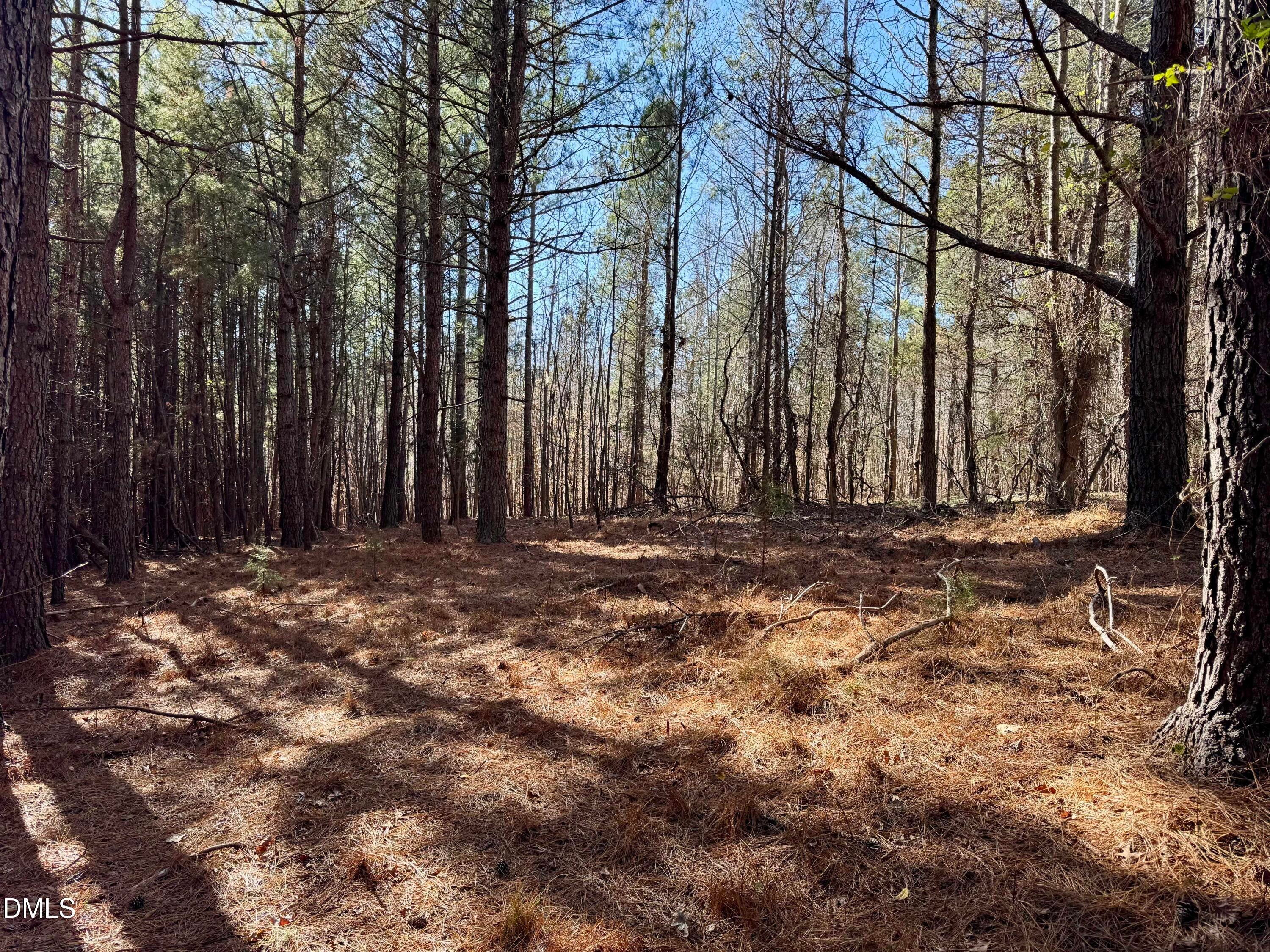 11901 Nc Highway 86 S