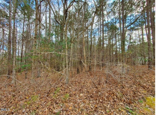195 OWL DR, YOUNGSVILLE, NC 27596 - Image 1f55d960c700ba1c5be4039b4db0d37c/4292005631