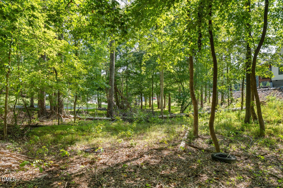 Lot 4 Wild Turkey Drive