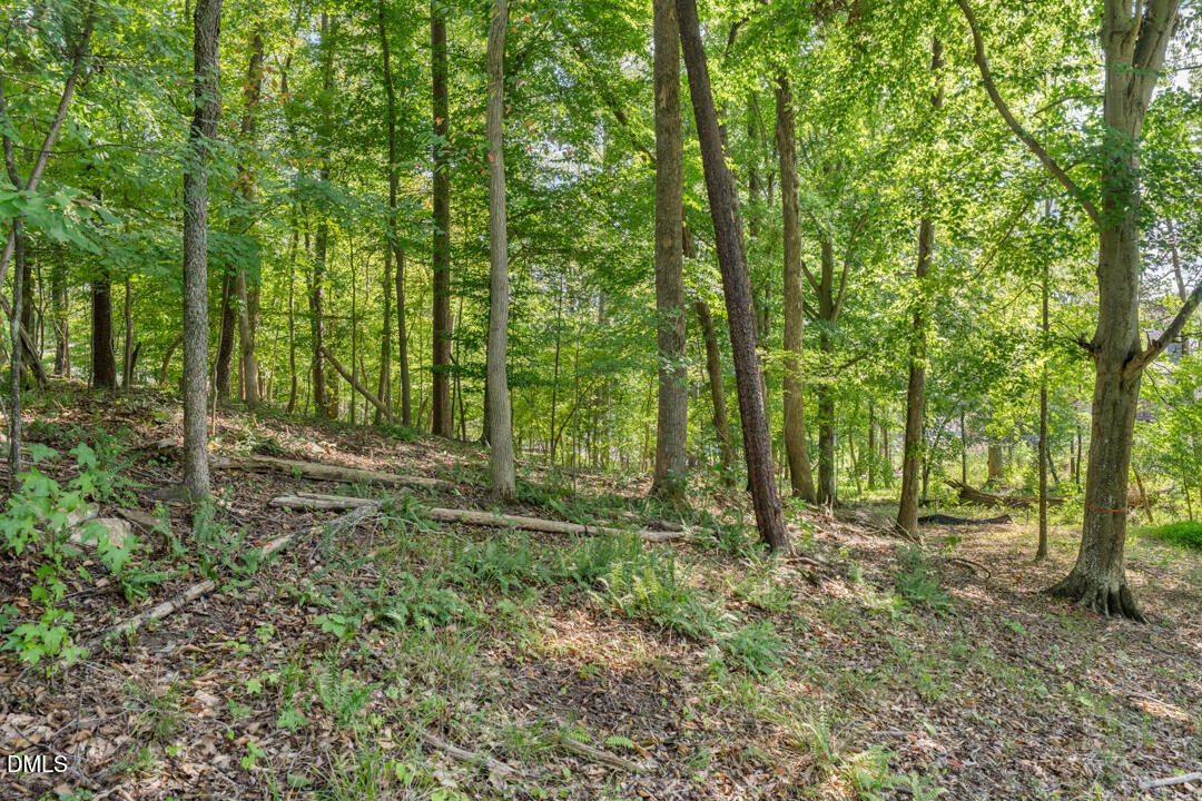 Lot 4 Wild Turkey Drive