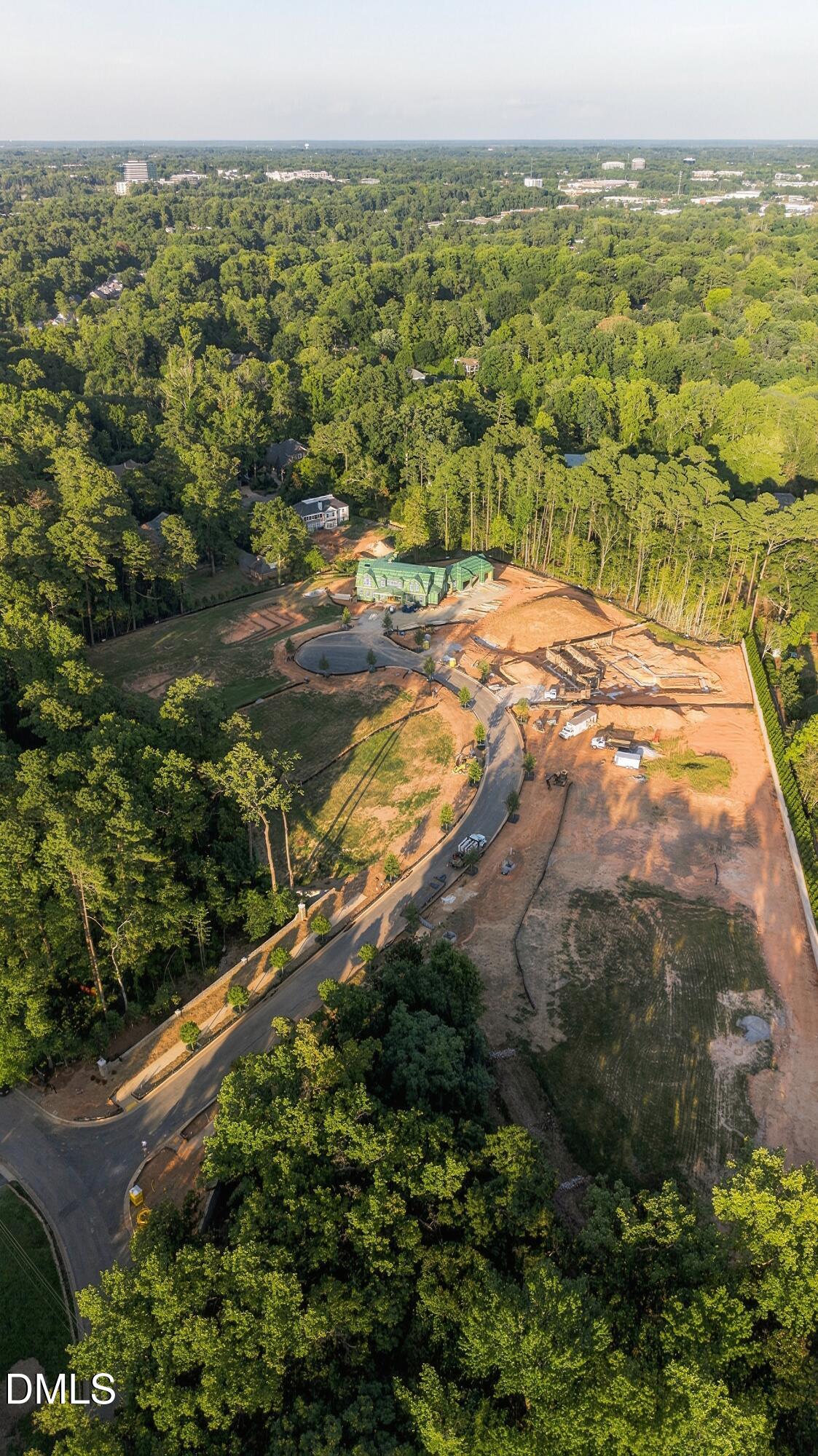 3311 Lillian Forest Court
