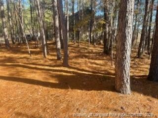 847 SEAGULL DR, VASS, NC 28394 - Image 22059c68f406f5cb2e5ca02dcd132492/4153768076