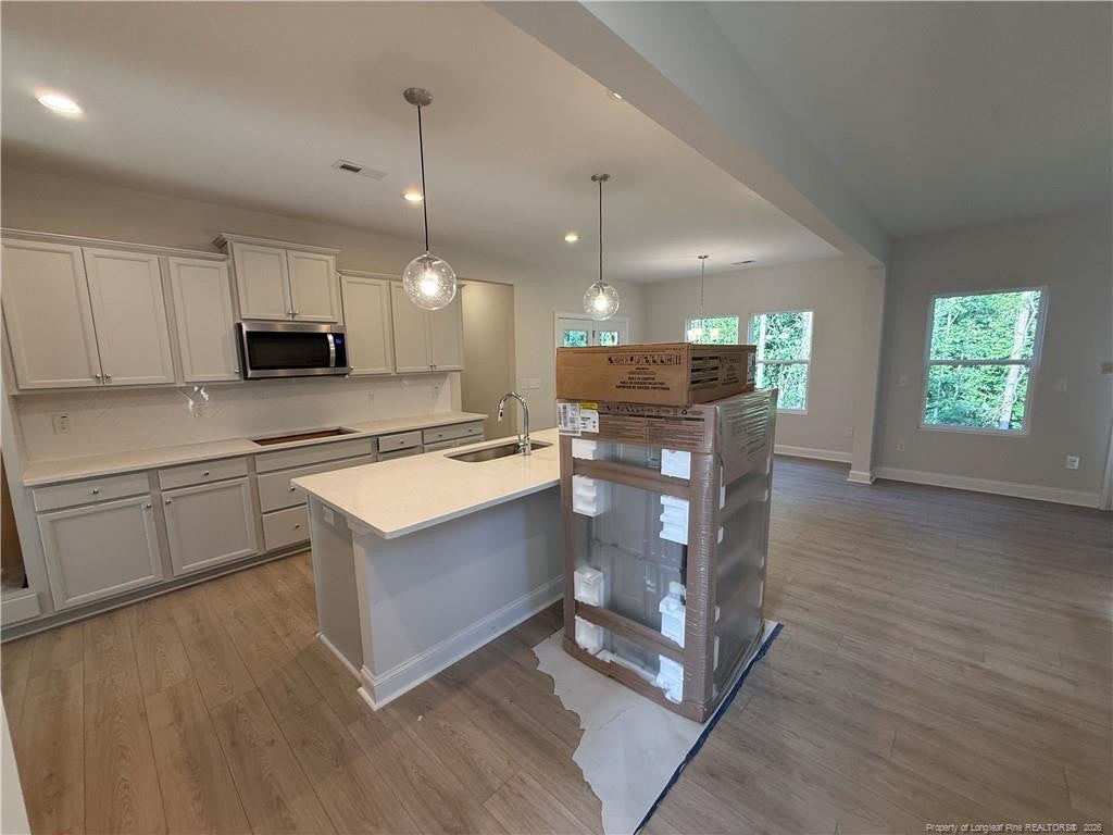 541 Grand Griffon Way