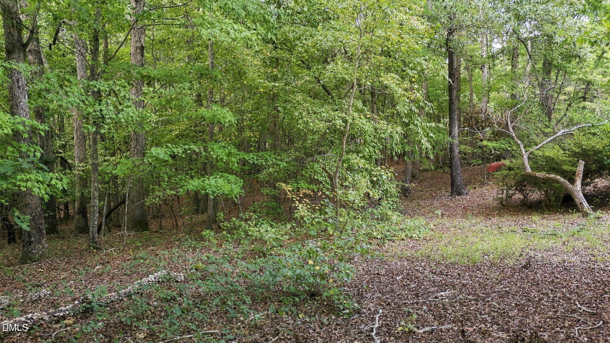 00 Rollins Mill Road