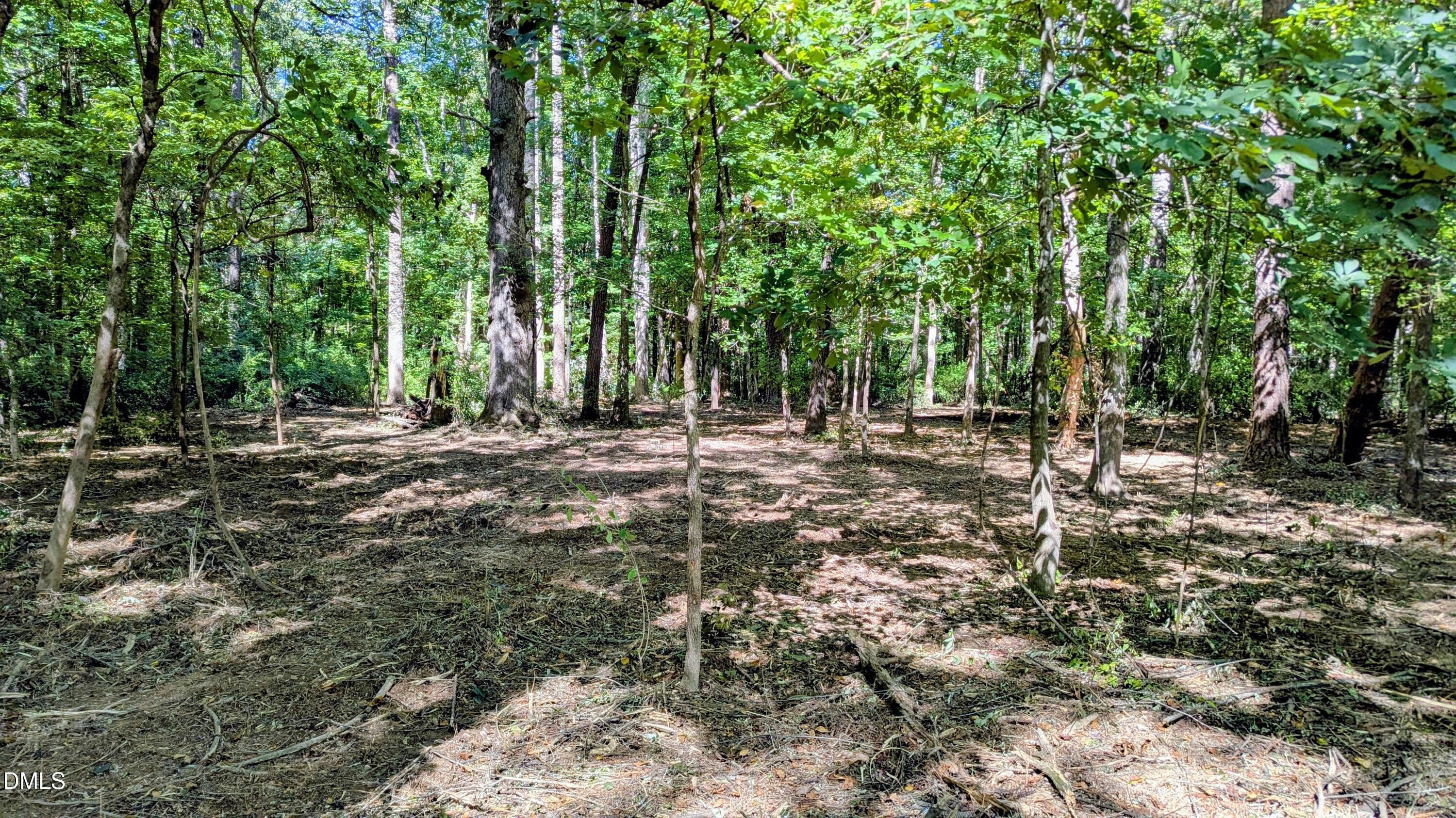 Lot 1 Blueberry Lane