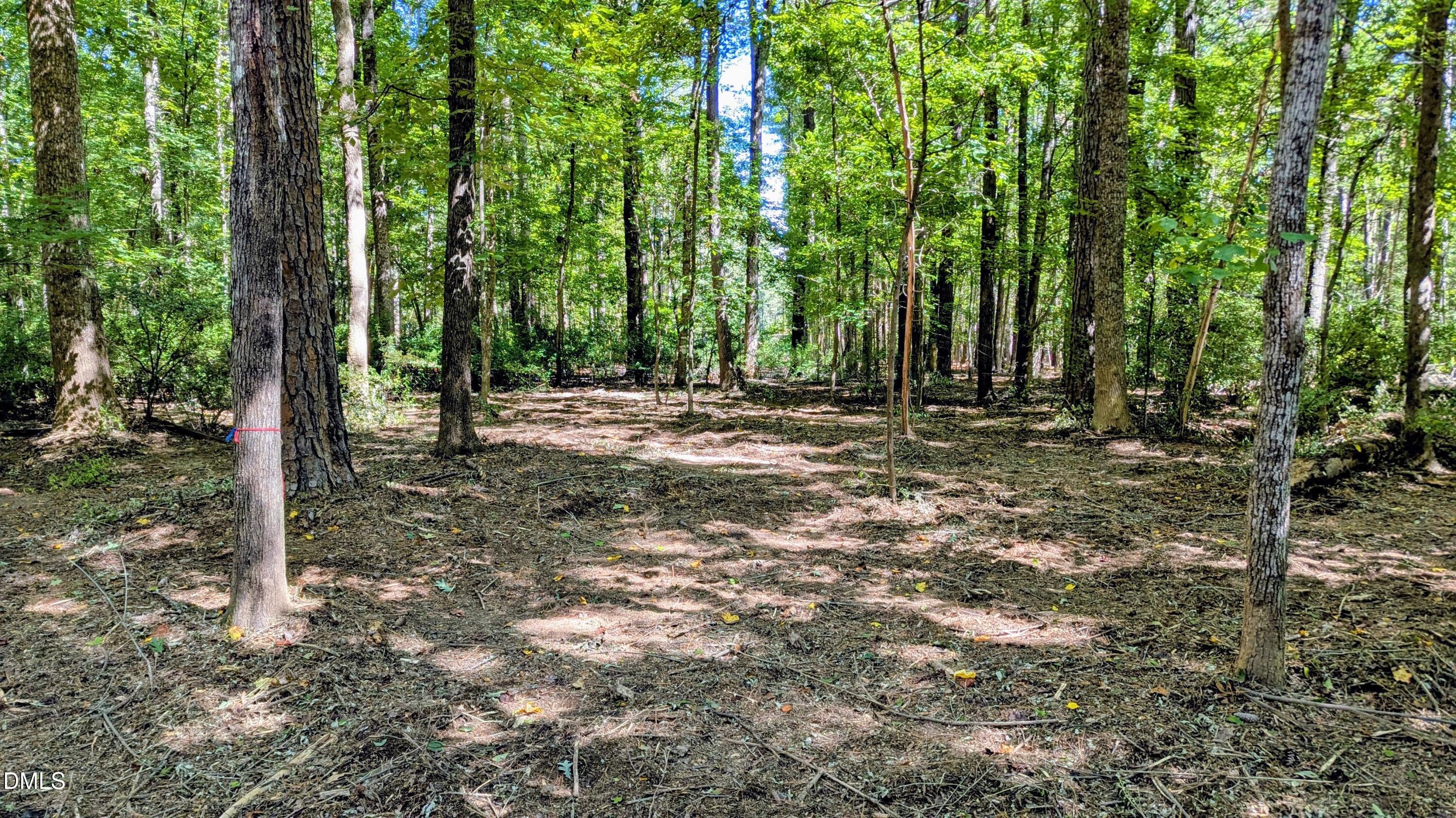 Lot 1 Blueberry Lane